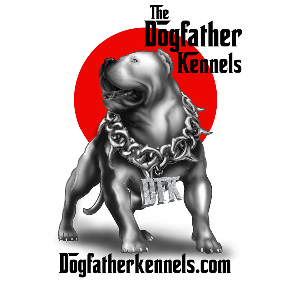 dogfather kennels of indiana, xl american bully breeders and dog trainers, sitemap page